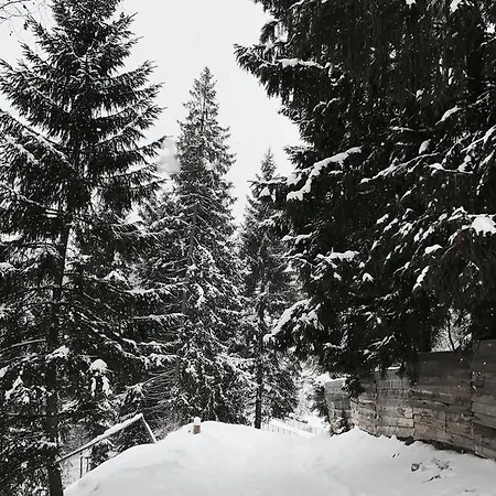 Bugel Отель Буковель